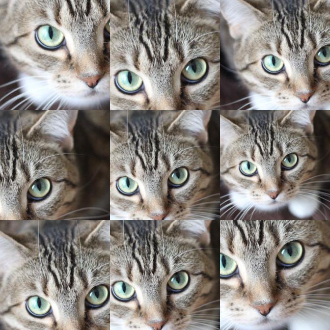 f:id:xkumiyu:20171212233002j:plain